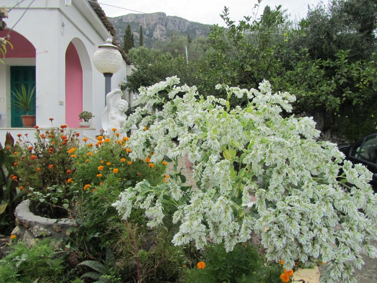 Vanilla House * Paleokastritsa